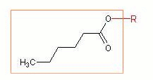 load gif/hexanoyloxo.gif