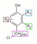 load gif/generic_structure.gif